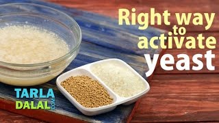 Right Way to Activate the Dry Yeast by Tarla Dalal [upl. by Oribelle]