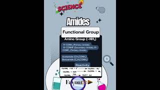 Functional Groups and Classes of Organic Compounds [upl. by Toole172]