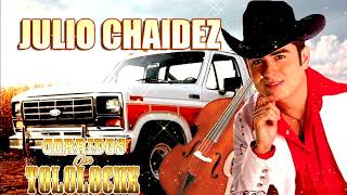 Julio Chaidez  30 Canciones y Corridos Con Tololoche Album Completo [upl. by Mancino]