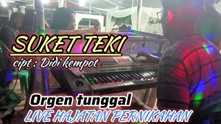 SUKET TEKI  DIDI KEMPOT  COVER DANGDUT KOPLO LIVE ACARA HAJATAN [upl. by Emmalynne]