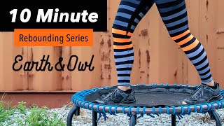 10 Minute Beginner Rebounding Hiit Workout ALL LEVELS [upl. by Antipus]