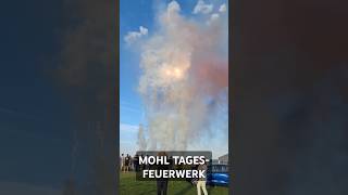 TagesFeuerwerk fireworks feuerwerk experiment vuurwerk silvester bigboom explosion shorts [upl. by Narba556]