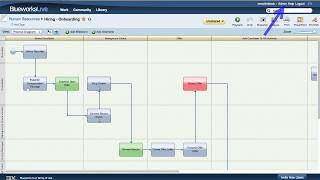 IBM Blueworks Live  custom properties [upl. by Adeirf273]