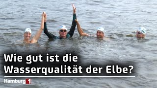 Professor schwimmt 1083 Kilometer durch die Elbe Wie sauber ist das Gewässer [upl. by Corrina]