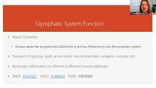 What Is the Function of the Glymphatic System shorts [upl. by Nuyh18]