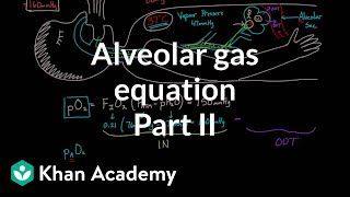 Alveolar gas equation  part 2  Respiratory system physiology  NCLEXRN  Khan Academy [upl. by Ahsetan]