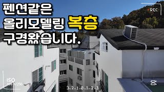 펜션같은 올리모델링 복층 구경왔습니다｜구미에 사는 사람들 복층 구미 원룸 [upl. by Nanahs703]