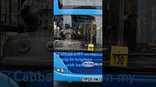 Me and harley cabbed 6977 metrobus on 272 in brighton [upl. by Mahan123]