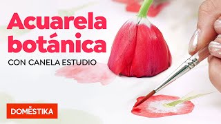 Ilustración botánica con acuarela  Curso Online de Canela estudio  Domestika [upl. by Wight]