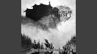 Carpathian Forest [upl. by Pattani702]