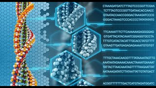 Understanding Genotyping Technologies Methods and Applications 3 Minutes [upl. by Ahsiyt]