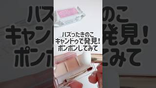 ダイソーとセリアでバズったキノコがキャンドゥにもあったよ！ [upl. by Bolanger]