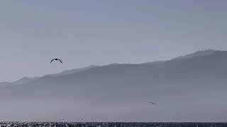 Santa Monica Beach [upl. by Andria]