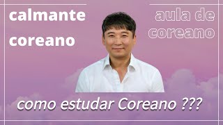 Como estudar Coreano sozinho e de graça  한국어 공부방법  AULA DE COREANO [upl. by Yrrat]