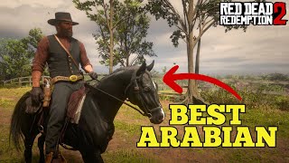 How to get the BEST ARABIAN early in Chapter 2  Red Dead Redemption 2 [upl. by Noah]