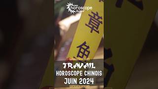 Votre Horoscope Chinois mensuel de Juin 2024 Travail [upl. by Cranford]