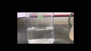 Preparation of Chitosan Beads microbiologylab microbiology research biology [upl. by Pasia32]