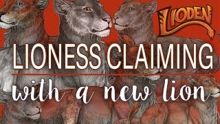 How To Claim Your First Lioden Lioness [upl. by Carol-Jean691]