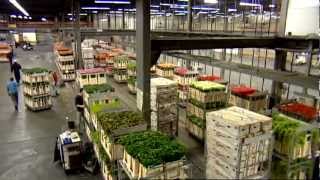 Infloor chain conveyor system for flower transport at Flora Holland Rijnsburg auction by Dematic NV [upl. by Animrac]