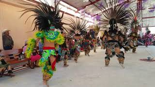 CASCALOTE DE BRAVO DANZA QUINTO SOL 2019 [upl. by Fai]