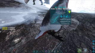 ARK Survival evolved Hesperornis golden eggs How to get them full explenation [upl. by Purse]