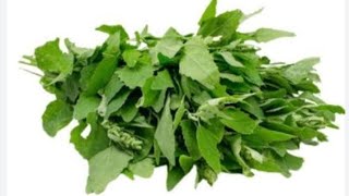 12 BENEFITS OF EATING BATHUA SAAG IN WINTER [upl. by Aelem475]