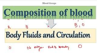 BODY FLUIDS AND CIRCULATION Composition of body fluid Part1 [upl. by Nerwal]