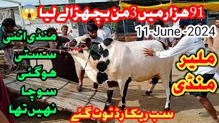 85 hazar Mai V I P Soda  Malir mandi karachi cattle rates update  11June2024  cow mandi 2024 [upl. by Gargan]