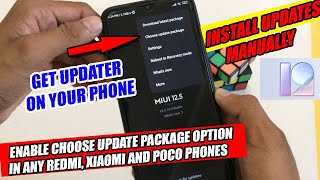 REDMI XIAOMI AND POCO PHONE ENABLE UPDATER OPTION  Install Updates Manually  MIUI UPDATER [upl. by Casabonne132]