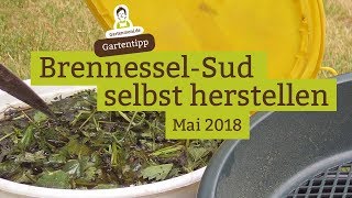 BrennesselSud  BrennesselJauche als Pflanzendünger selbst herstellen [upl. by Hepsibah]