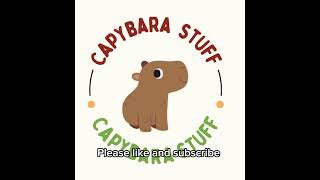 Capybara Christmas Tee [upl. by Ailehs]