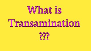 Transamination  Mechanism and examples of transamination [upl. by Primavera886]