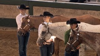 4H Horses  Iowa State Fair 2013 [upl. by Suiraj]