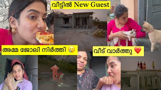 Adopt A Baby Girl 🥹ഒരുപാട് വിശേഷങ്ങൾ ഉണ്ട് പറയാൻ Day In My Life 😎 glamyganga dayinmylife [upl. by Acyssej]