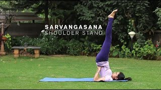 How to do Sarvangasana  Shoulder Stand Yoga Pose [upl. by Ladnek806]