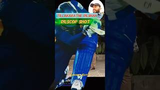 Tillakaratne Dilshan Play Dilscop Shot Again Australia Mitchell Starc cricket t20 mitchellstarc [upl. by Thorbert]