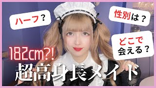 【超高身長】ミシャって誰？amp質問コーナー‼️ [upl. by Bigler843]