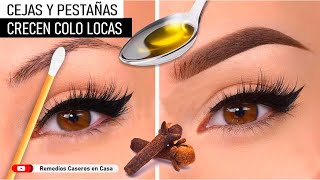 En 1 semana haz crecer tus Cejas y pestañas  Cejas y pestañas Abundantes [upl. by Yblocaj]