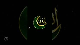 istiyakAhmad786i madinasharifkividio allahhuakbar madinesebulawaaarahahai islamicphrase [upl. by Hayidan]