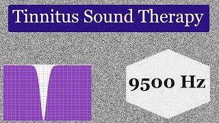 8 Hours of Tinnitus Sound Therapy for 9500 Hz Tinnitus [upl. by Drahnreb866]