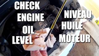 CITROEN Check Engine Oil Level  Vérifier niveau huile moteur peugeot [upl. by Elletnohs998]