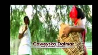 Dhaanto  Cali Dhaanto  Ft Yurub Geenyo amp Khadra Cabdi Silimo [upl. by Nahtad498]