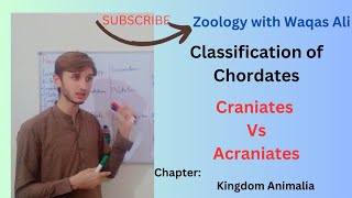 CLASSIFICATION OF PHYLUM CHORDATA CHORDATES [upl. by Kcireddor]