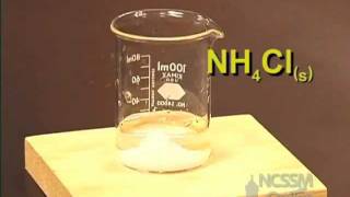 Dissolving of NH4Cl An Endothermic Process [upl. by Riley]