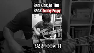 Bad Kids To The Back Snarky Puppy  bass cover by Jeremie Vinet shorts [upl. by Yme]