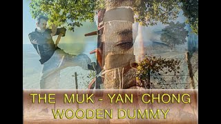 THE MUK  YAN CHONG  WOODEN DUMMY  MANICHINO DI LEGNO [upl. by Ahtiekahs]