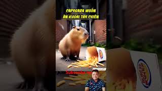 Capybara demands to eat chips capybara cartoon funny [upl. by Mauro]