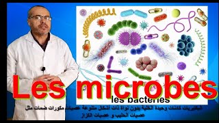 les microbes [upl. by Bakemeier447]