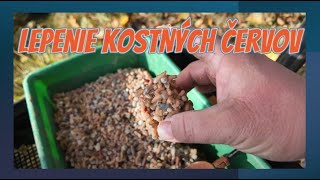 Lepenie kostných červov sticky maggots [upl. by Annaoi]