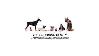 The Grooming Centre Plymouth [upl. by Stillmann]